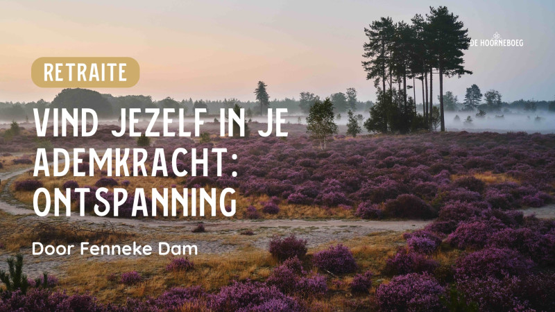 Vind jezelf in je ademkracht: Ontspanning - Fenneke Dam