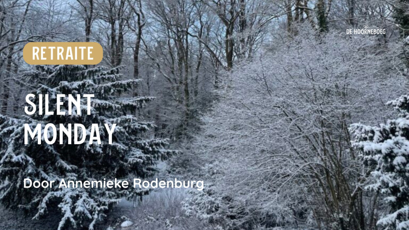 Silent Monday met Annemieke Rodenburg
