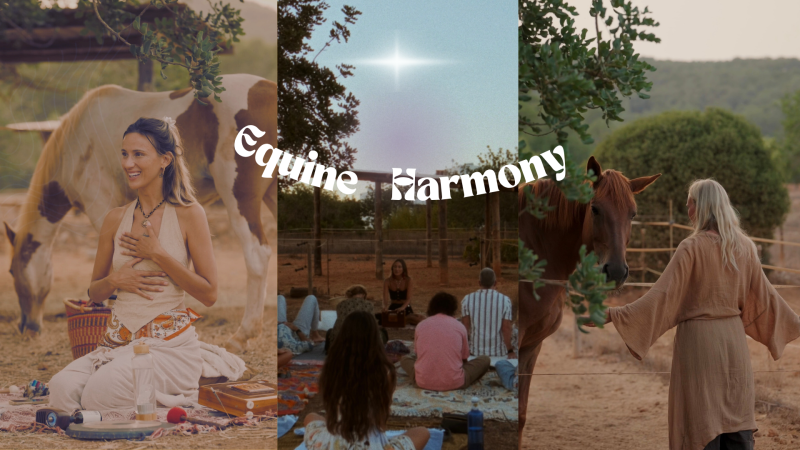 Equine Harmony Sunset Sound Bath