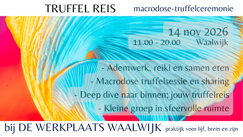 TRUFFEL REIS, jouw deep dive naar binnen