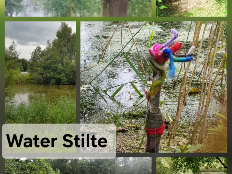 Water spiegeling stilte Weekend