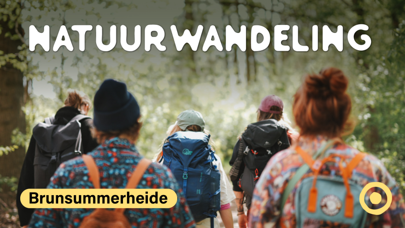 Natuurwandeling Brunssummerheide - Wandelen, Natuur