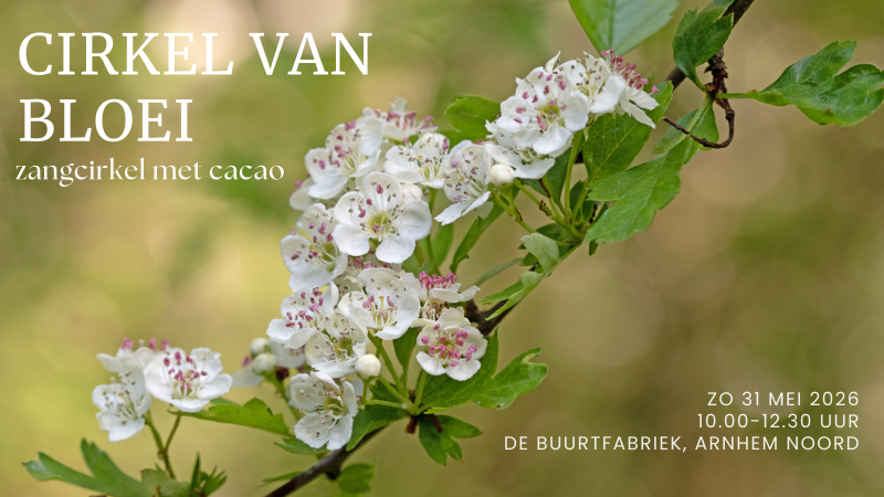 Cirkel van Bloei- Zangcirkel met cacao