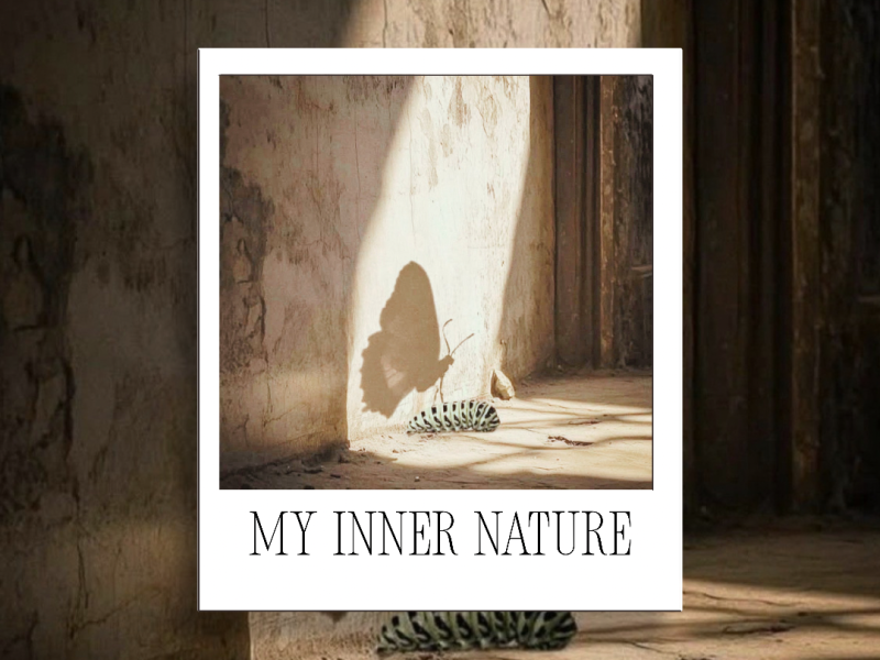 My Inner Nature