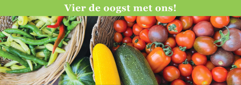 Landgoed BuitenLeeft: Oogstfeest! - Festivals