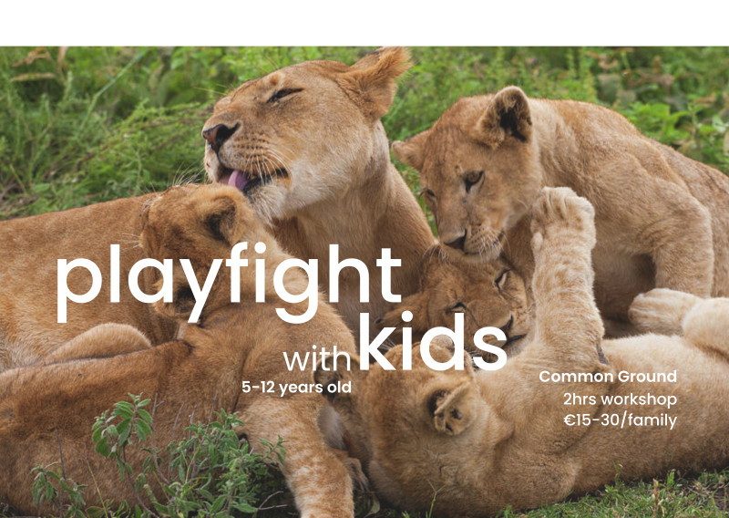 Playfight with Kids - Kids Activity, Playfulness, Connection