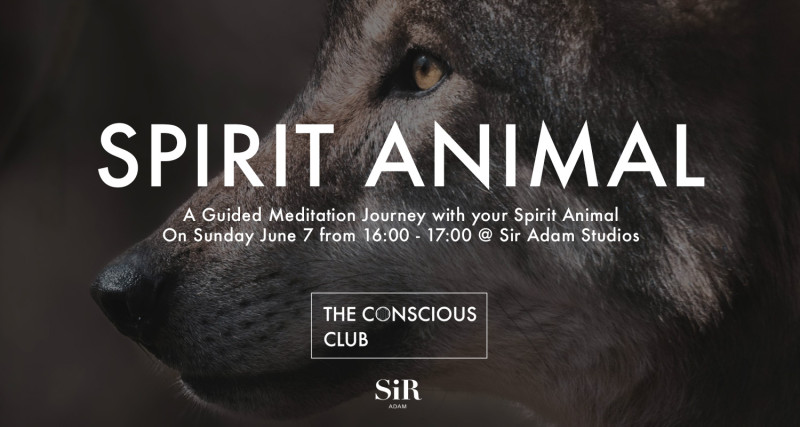 Spirit Animal ๑ A Guided Meditation Journey
