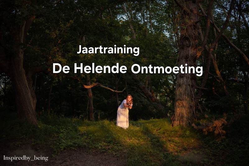 Jaartraining De Helende Ontmoeting - Jaartraject, Bewustzijnsontwikkeling