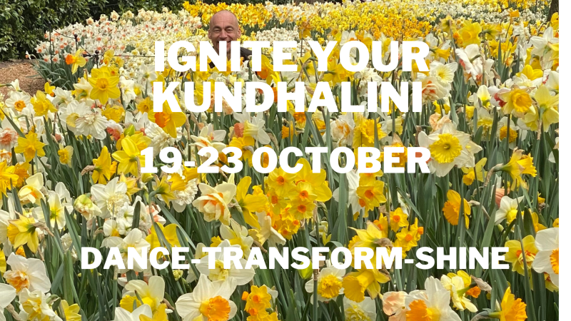 Transformative energetical  retreat