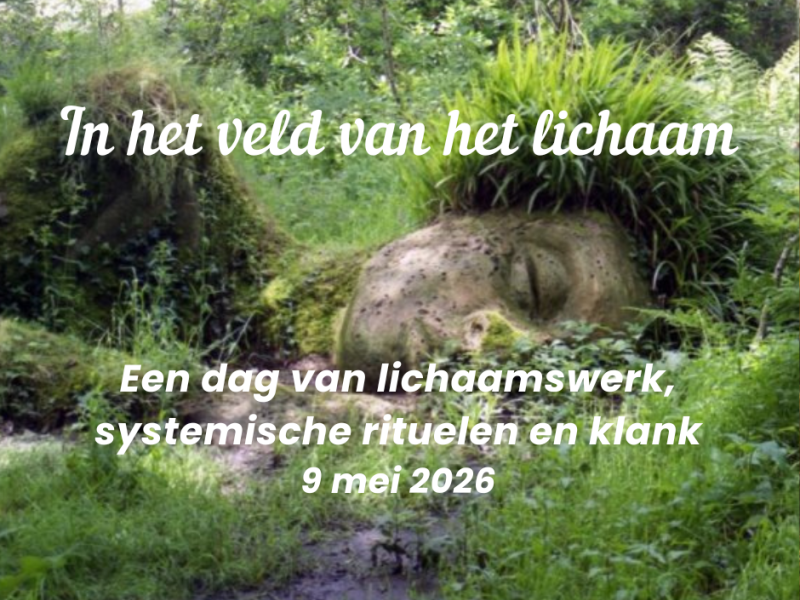 In het veld van het lichaam