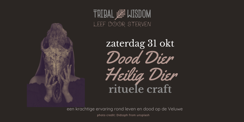 LEEF DOOR STERVEN | Dood Dier Heilig Dier - Grief and Loss, Mini retreat in nature, Self-Love