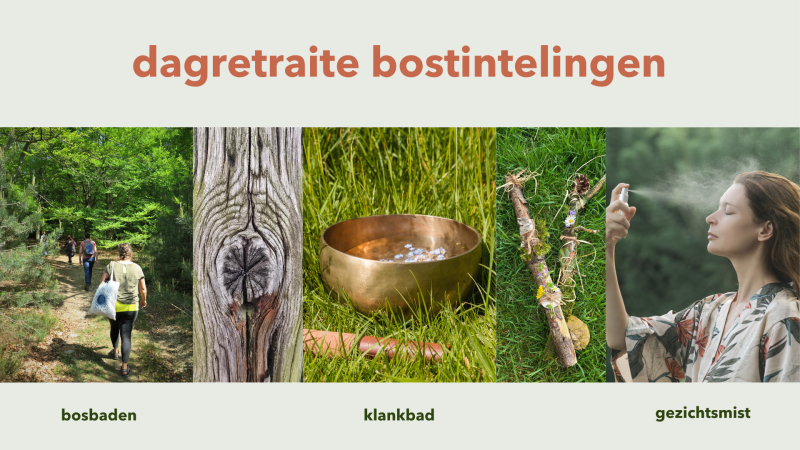 dagretraite bostintelingen - Mini retraite in de natuur, Bosbad - Shinrin Yoku, Klankbad