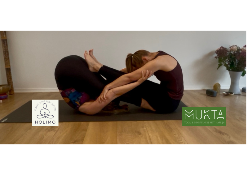 Hatha Yoga Workshop – Verdieping door duo-oefeningen