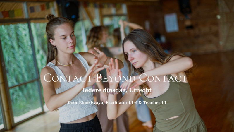 Contact Beyond Contact - Weekly Embodied Journey - Teacher Eline Evaya