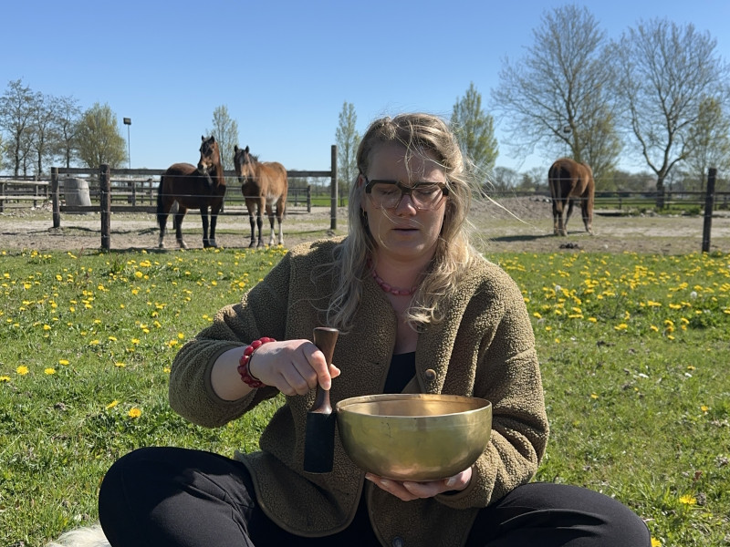 Klankreis en meditatie tussen de paarden - Klankreis, Paarden, Meditatie
