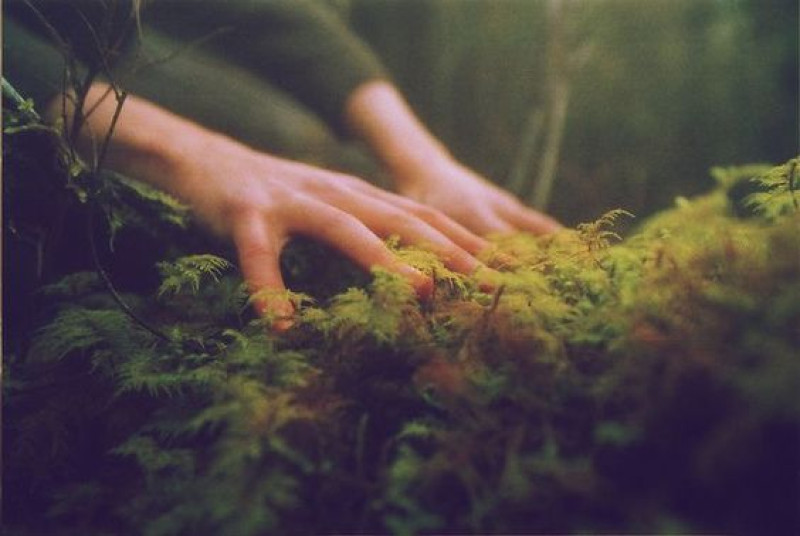 Bezield Dansen * Movement lab in the forest: inner growth * 18 nov