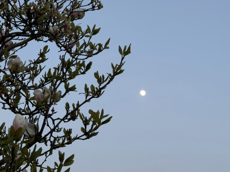 Full Moon Ceremony