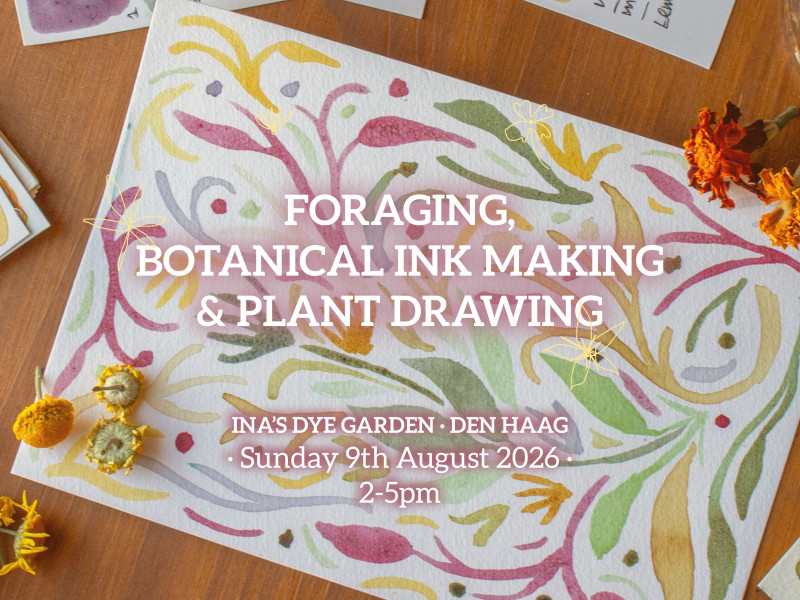 Foraging, botanical watercolor making and plant drawing