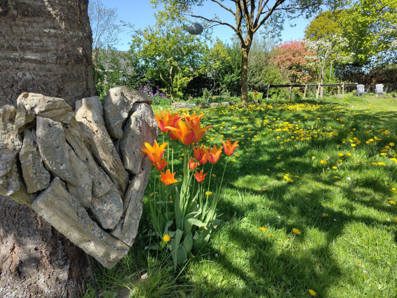 Landen in je IK - Familieopstellingen, Systemisch werk, Persoonlijke Ontwikkeling