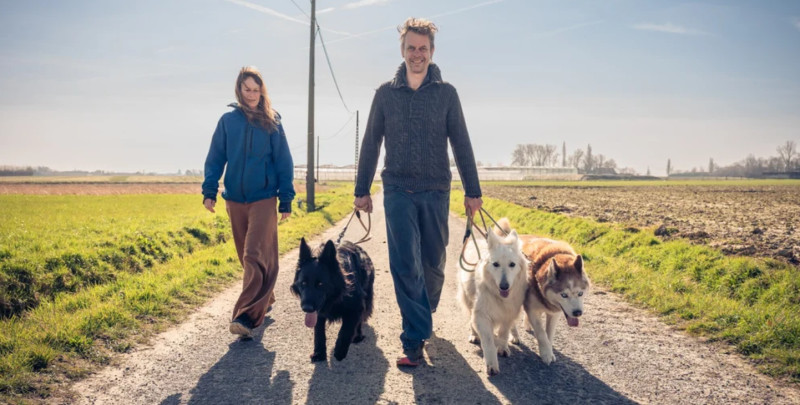 Opstellingsdag (Shamanic driven, ondersteund door honden)