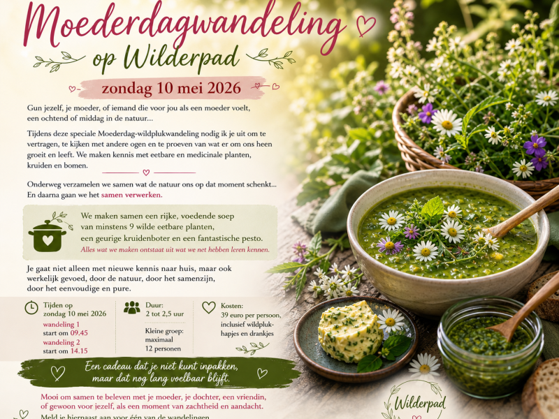 Moederdag wandeling/workshop eetbare planten