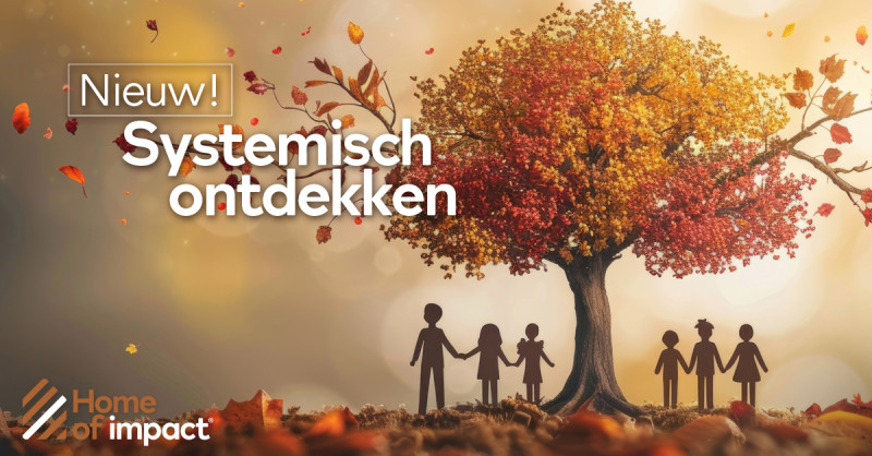 Systemisch Ontdekken