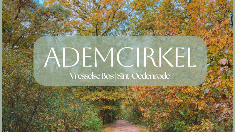 Ademcirkel in het bos | Sint-Oedenrode - Breathwork, Círculo de respiración
