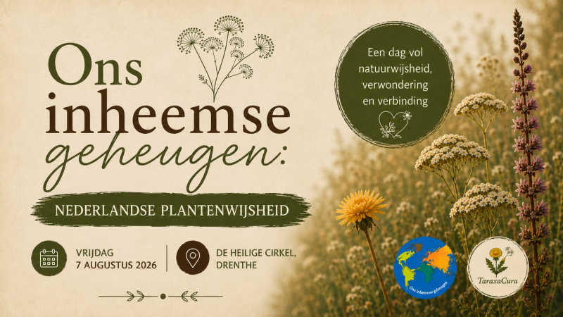 Ons inheemse geheugen & TaraxaCura: Nederlandse plantenwijsheid - Natuur, Sjamanisme, Kruiden