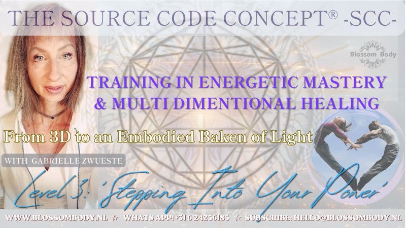 'Vortex Evolution & Light Integration-Multidimentional Healing Seminar
