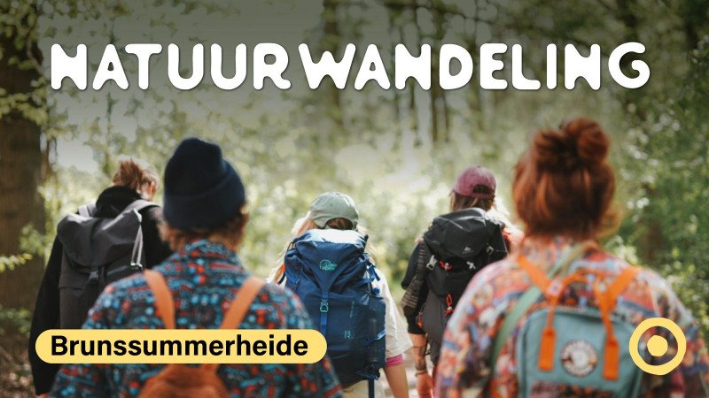 Natuurwandeling Brunssummerheide - Randonnée, Nature