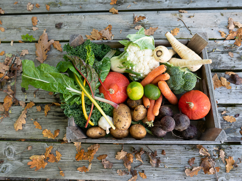 Healthy Planet Inspiratiedag met Yoga, Reflectie, Wetenschap & Lunch