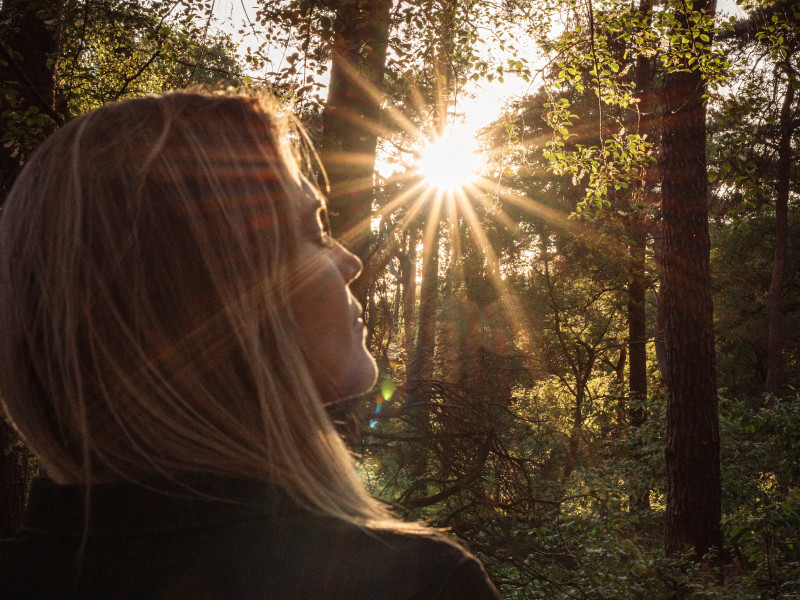 Avond Bosbad Gorsselse Heide - Nature, Relaxation, Forest Bathing - Shinrin Yoku