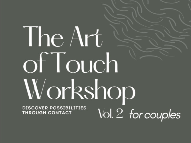 The Art of Touch, Vol. 2 (for couples)