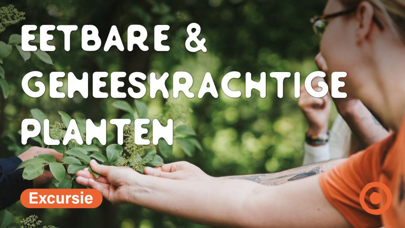 Plantenexcursie - Eetbare en geneeskrachtige planten - Nature, Randonnée