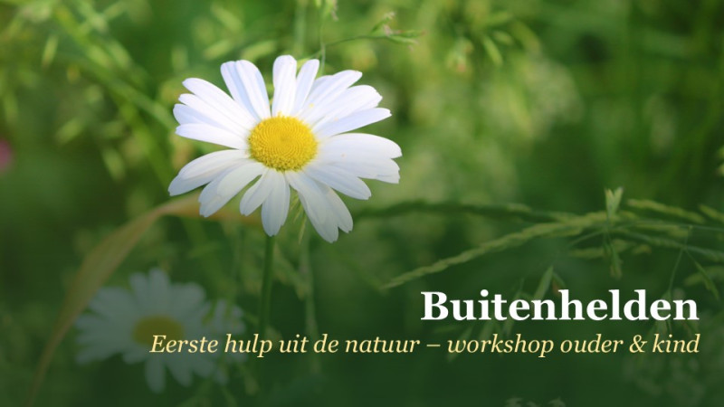 BUITENHELDEN – Kruidenredders in het bos