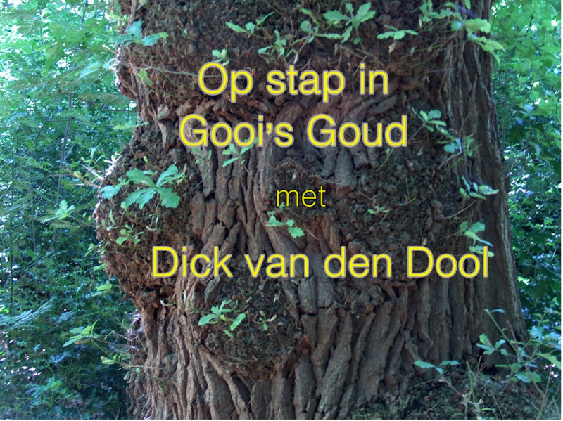 Wandeling - Op stap in Gooi's Goud - Dick van den Dool