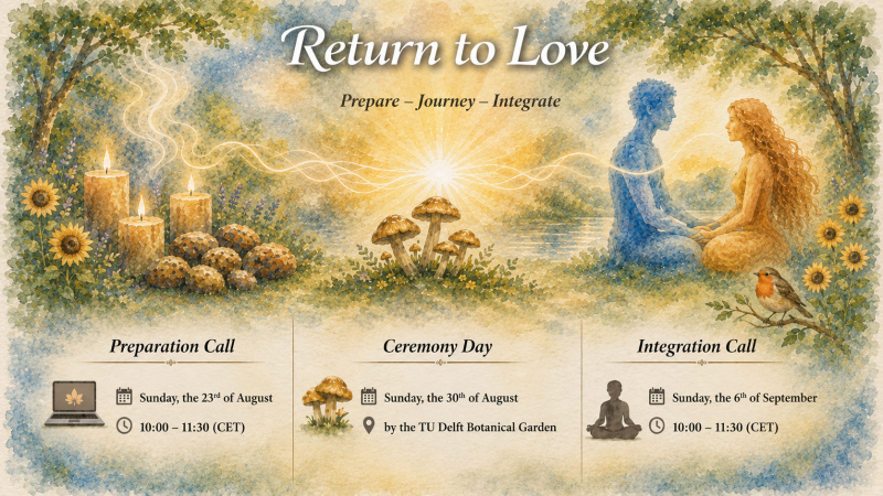 Return to Love- Day Truffle Retreat - Truffel Ceremonie, Plantmedicijn