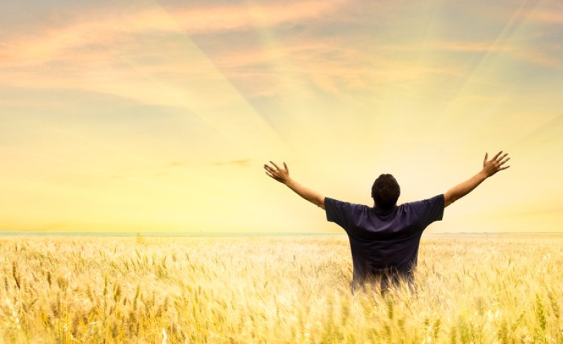 Leven vanuit je hart - Inspiratiemiddag voor mannen, vaders en zonen.
