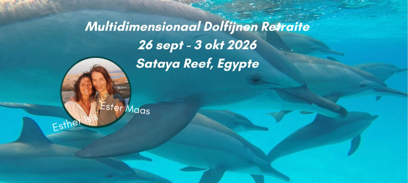 Multidimensionaal Dolfijnen Retraite | Egypte :)