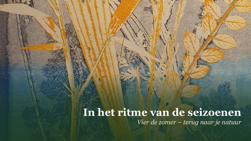 VIER DE ZOMER - Terug naar je natuur