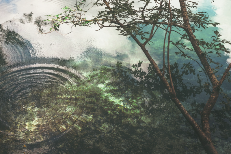 Spirit Dance: Holy Water - Sacred Breath (EN)