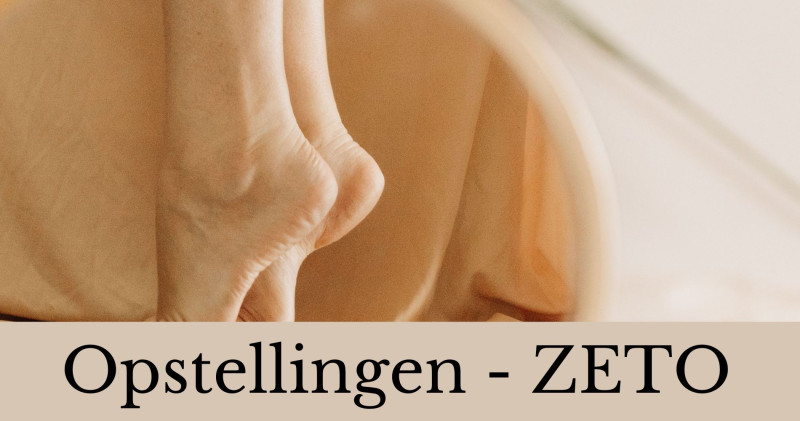 Zenuwstelsel en Trauma opstellingen