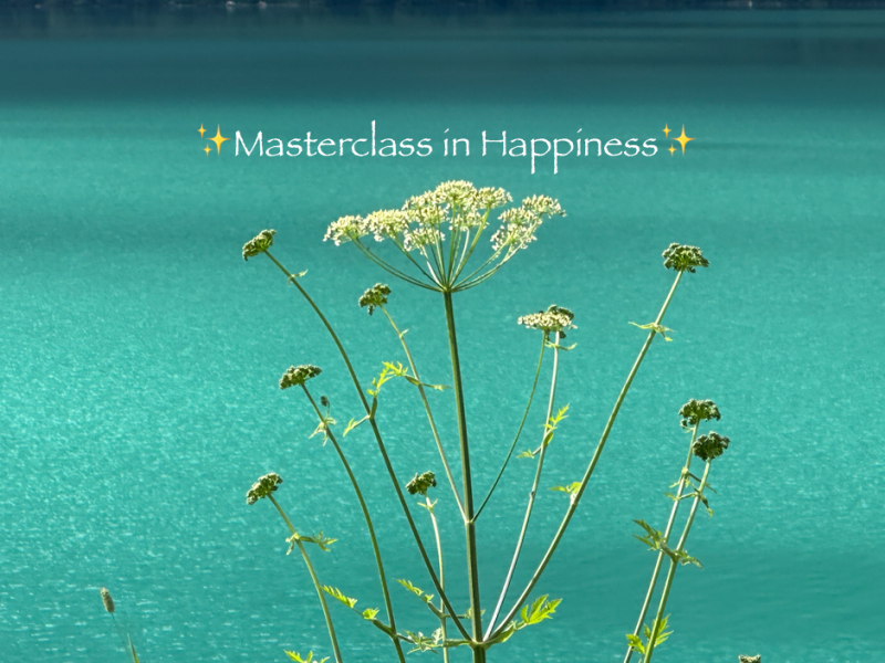 Masterclass in Happiness - Mini retraite in de natuur, Creativiteit, Vrije Dans