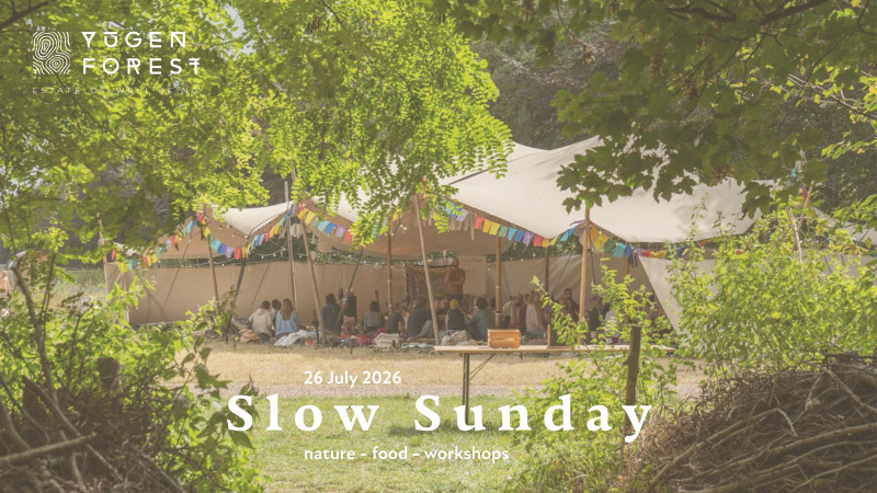 Slow Sunday @ Yūgen Forest 🌱