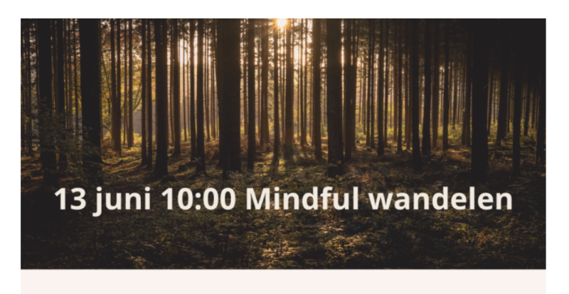 Gratis | Mindful wandelen en ontdekken