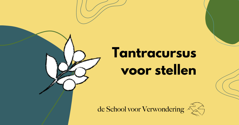 Tantracursus voor stellen