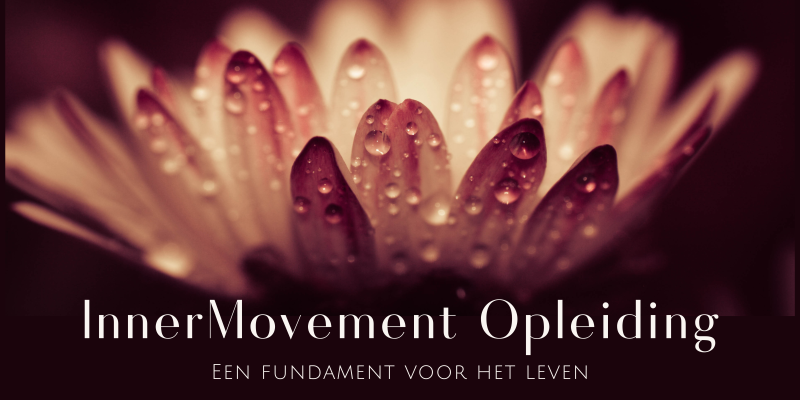 De opleiding van InnerMovement