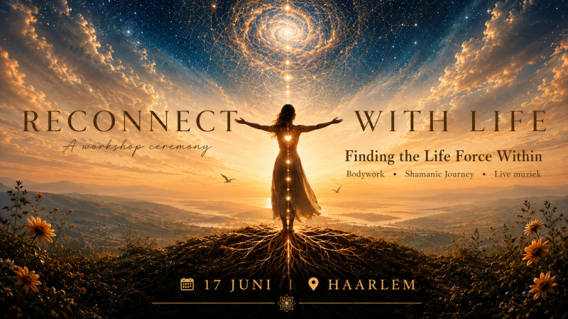 Reconnect with life