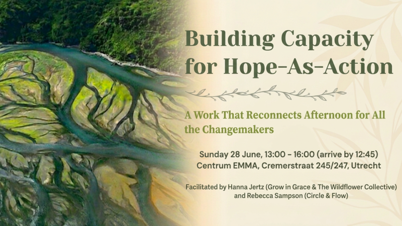 Building Capacity for Hope-As-Action: A Work That Reconnects Afternoon