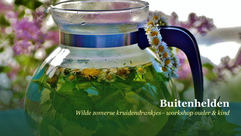 BUITENHELDEN – Wilde zomerse kruidendrankjes